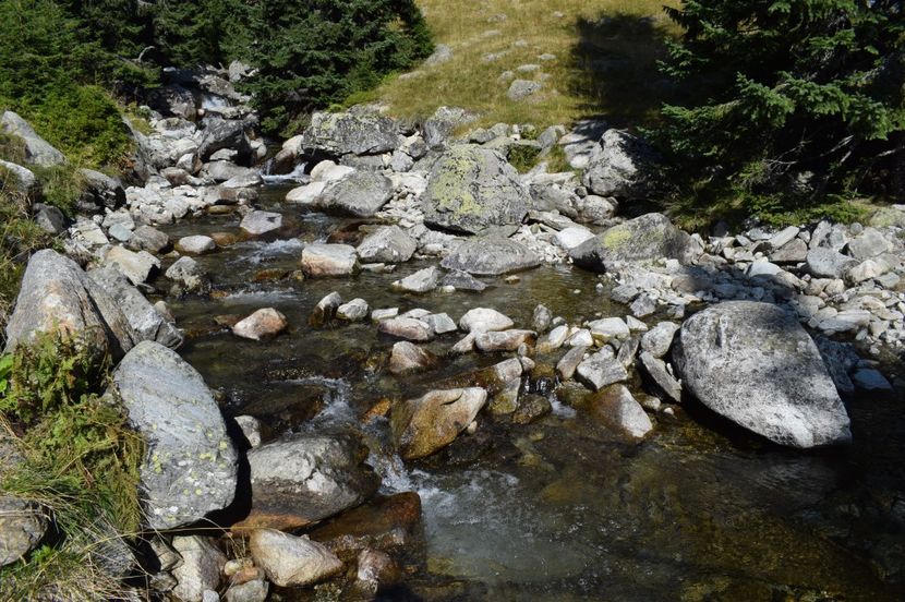  - 2017 - Obarsia Lotrului - a treia zi Galcescu apoi Oasa