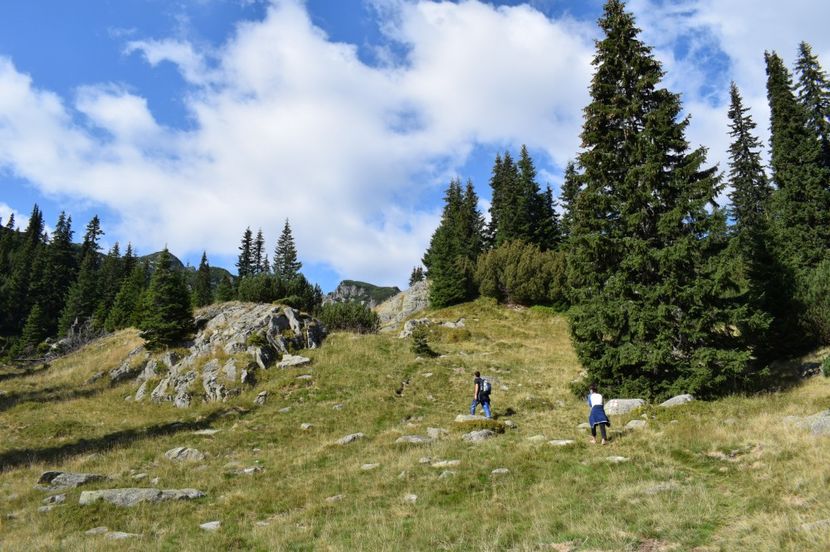 - 2017 - Obarsia Lotrului - a treia zi Galcescu apoi Oasa