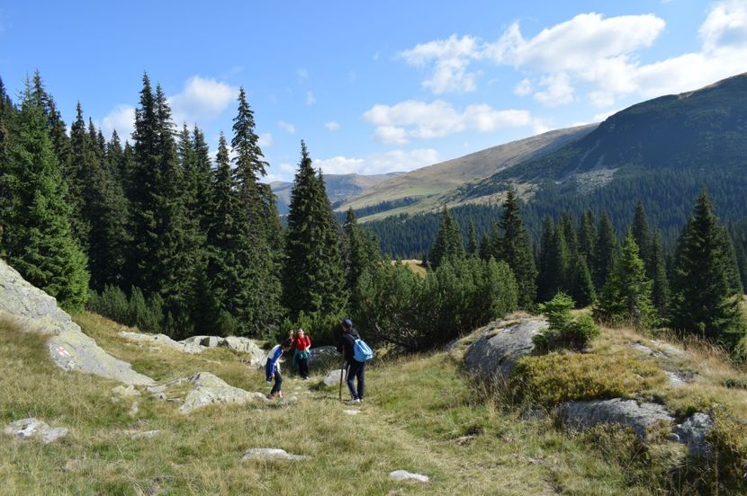  - 2017 - Obarsia Lotrului - a treia zi Galcescu apoi Oasa