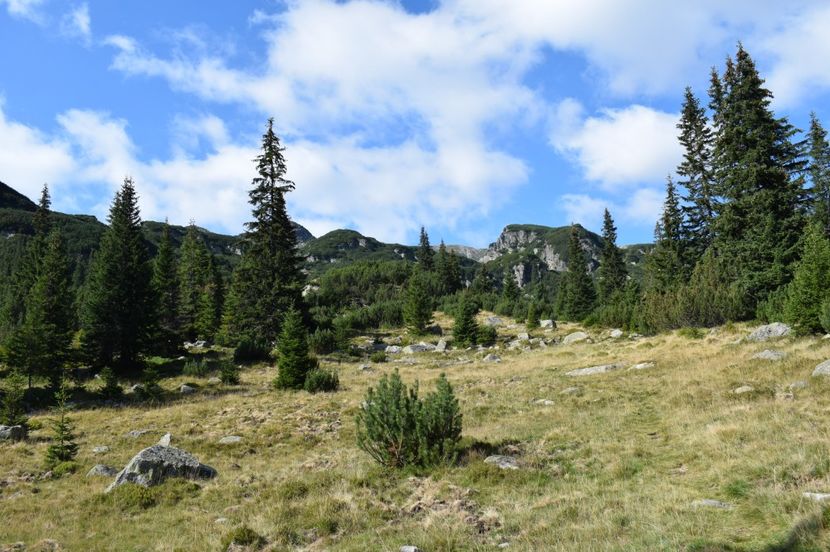  - 2017 - Obarsia Lotrului - a treia zi Galcescu apoi Oasa