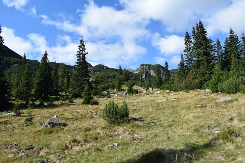  - 2017 - Obarsia Lotrului - a treia zi Galcescu apoi Oasa