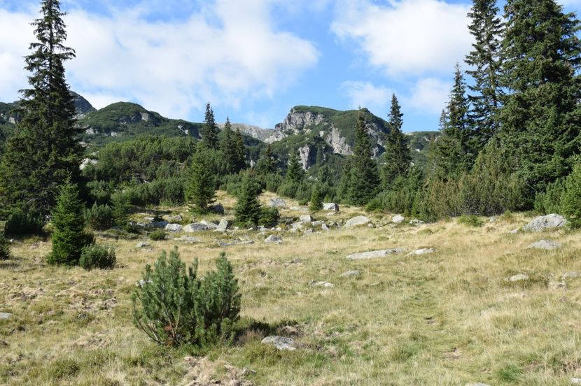  - 2017 - Obarsia Lotrului - a treia zi Galcescu apoi Oasa