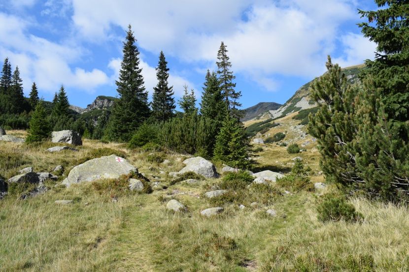  - 2017 - Obarsia Lotrului - a treia zi Galcescu apoi Oasa