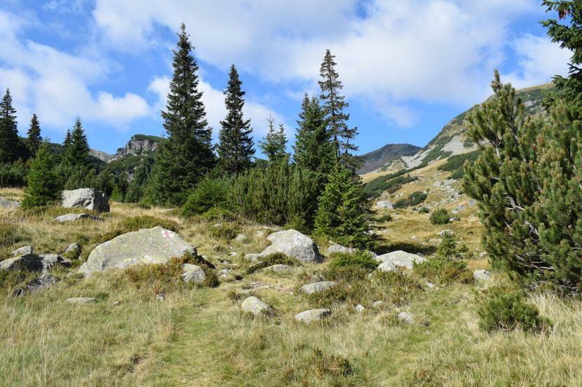  - 2017 - Obarsia Lotrului - a treia zi Galcescu apoi Oasa