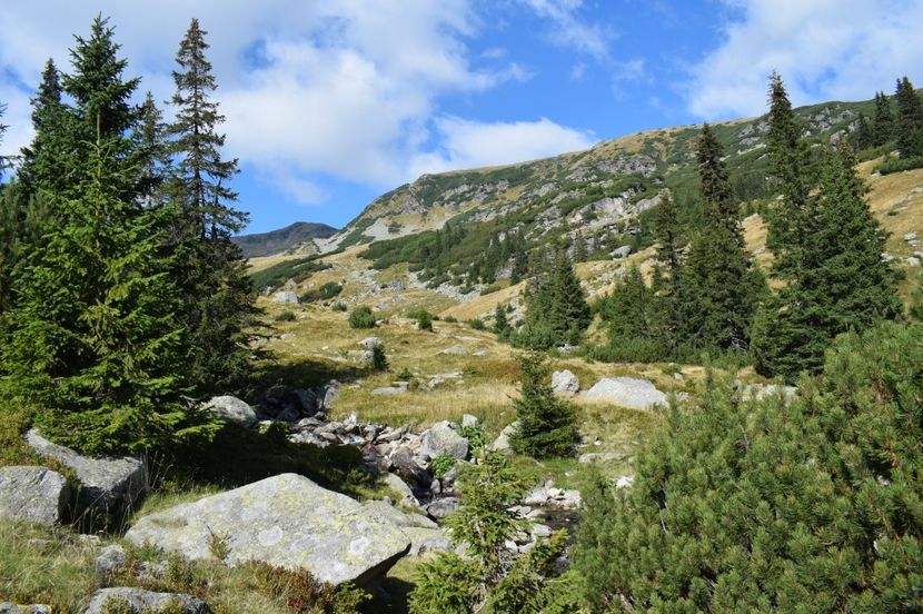  - 2017 - Obarsia Lotrului - a treia zi Galcescu apoi Oasa