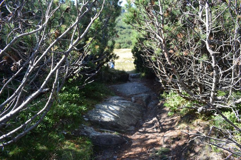  - 2017 - Obarsia Lotrului - a treia zi Galcescu apoi Oasa