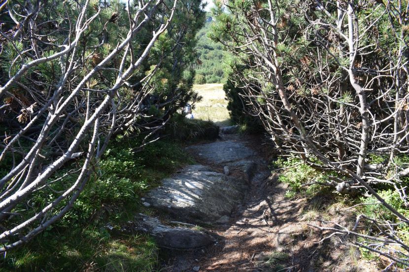  - 2017 - Obarsia Lotrului - a treia zi Galcescu apoi Oasa