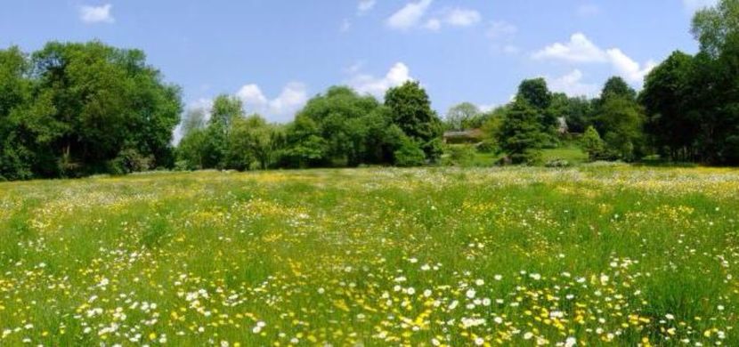 pajiste-01 - background