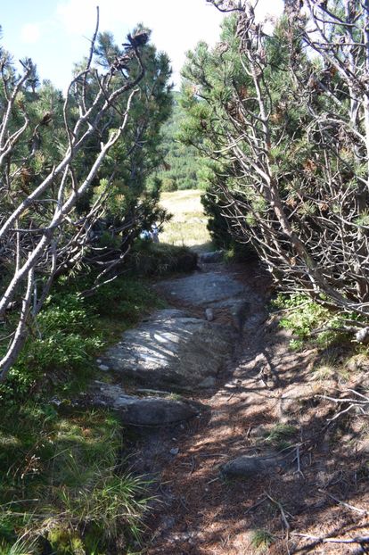  - 2017 - Obarsia Lotrului - a treia zi Galcescu apoi Oasa