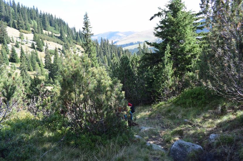  - 2017 - Obarsia Lotrului - a treia zi Galcescu apoi Oasa