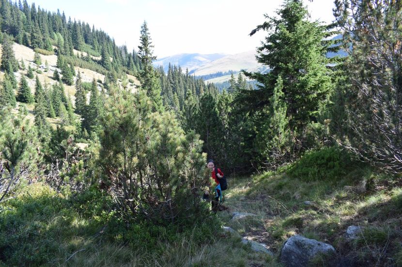  - 2017 - Obarsia Lotrului - a treia zi Galcescu apoi Oasa