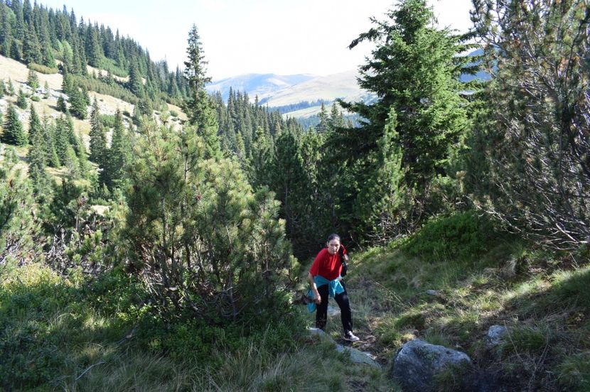  - 2017 - Obarsia Lotrului - a treia zi Galcescu apoi Oasa