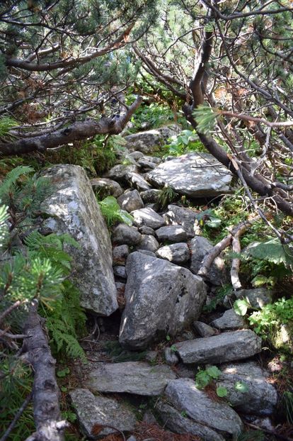  - 2017 - Obarsia Lotrului - a treia zi Galcescu apoi Oasa