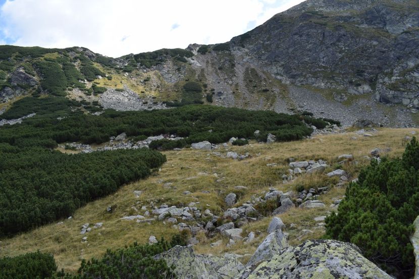  - 2017 - Obarsia Lotrului - a treia zi Galcescu apoi Oasa