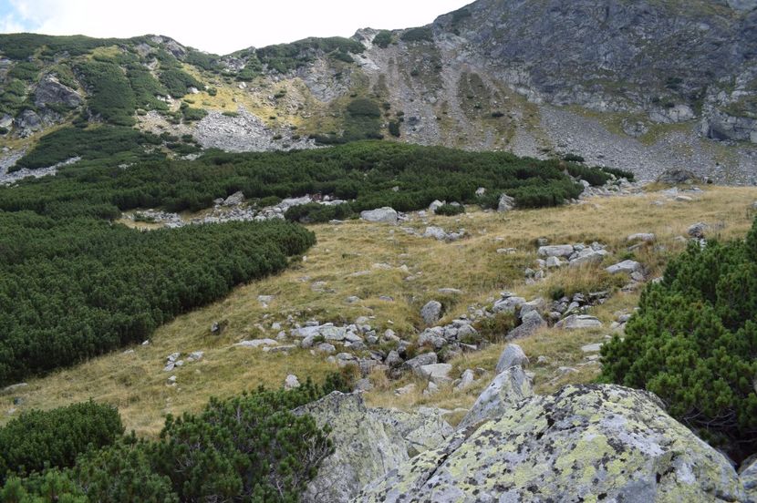  - 2017 - Obarsia Lotrului - a treia zi Galcescu apoi Oasa