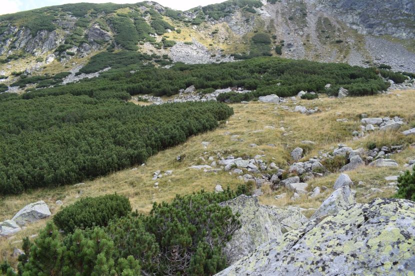  - 2017 - Obarsia Lotrului - a treia zi Galcescu apoi Oasa