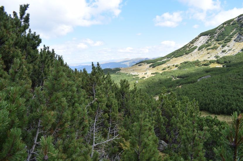  - 2017 - Obarsia Lotrului - a treia zi Galcescu apoi Oasa