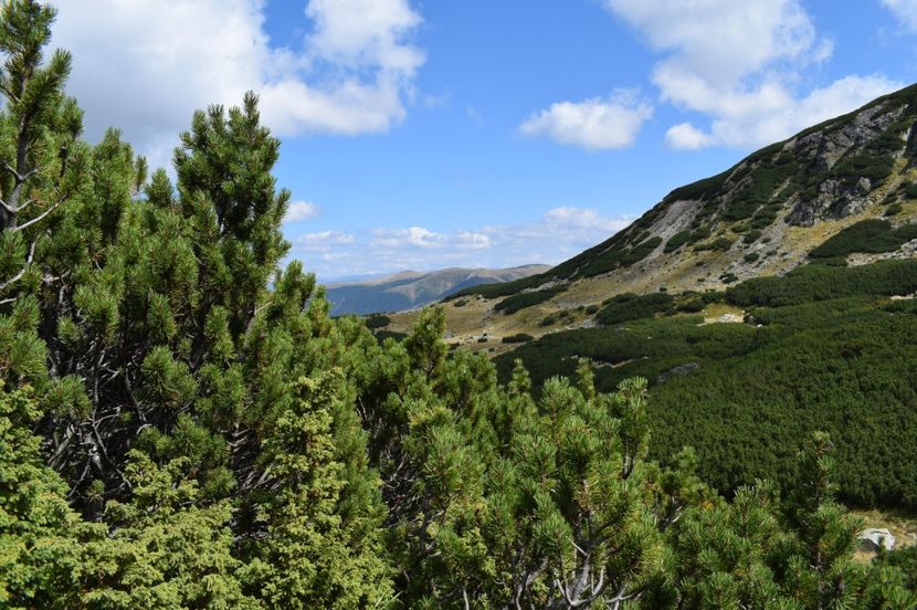  - 2017 - Obarsia Lotrului - a treia zi Galcescu apoi Oasa
