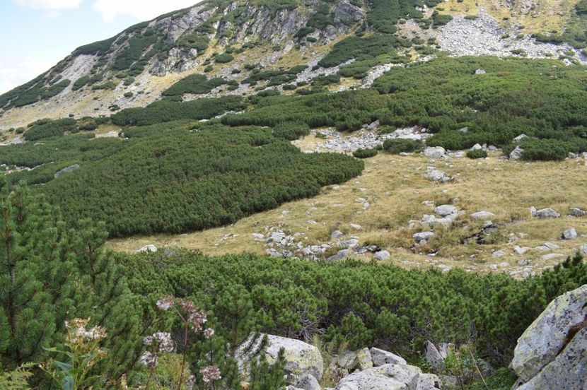  - 2017 - Obarsia Lotrului - a treia zi Galcescu apoi Oasa