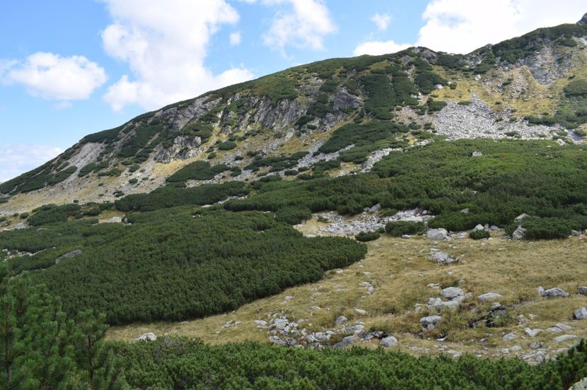  - 2017 - Obarsia Lotrului - a treia zi Galcescu apoi Oasa