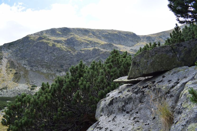  - 2017 - Obarsia Lotrului - a treia zi Galcescu apoi Oasa