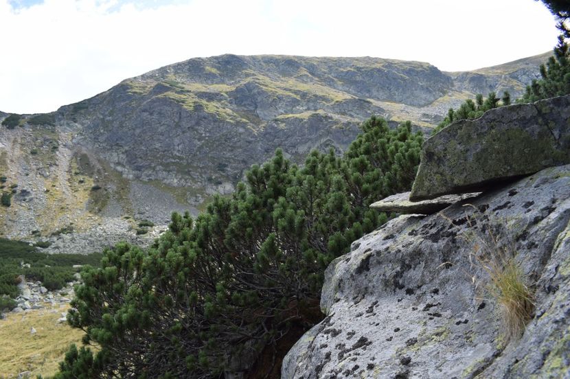  - 2017 - Obarsia Lotrului - a treia zi Galcescu apoi Oasa