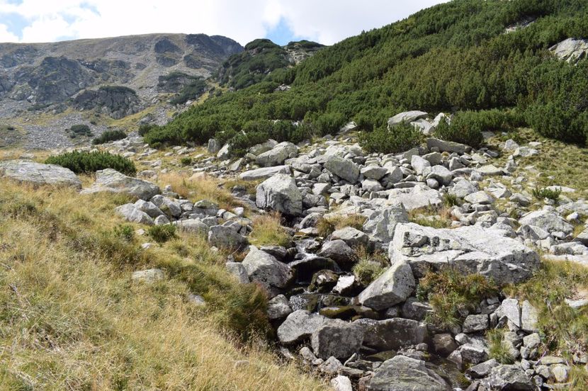  - 2017 - Obarsia Lotrului - a treia zi Galcescu apoi Oasa