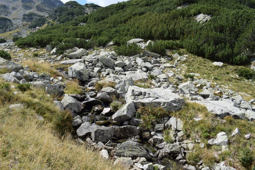  - 2017 - Obarsia Lotrului - a treia zi Galcescu apoi Oasa