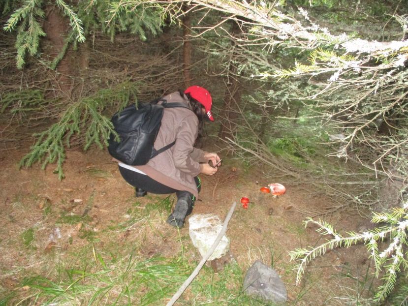  - 2017 - Obarsia Lotrului - a treia zi Galcescu apoi Oasa