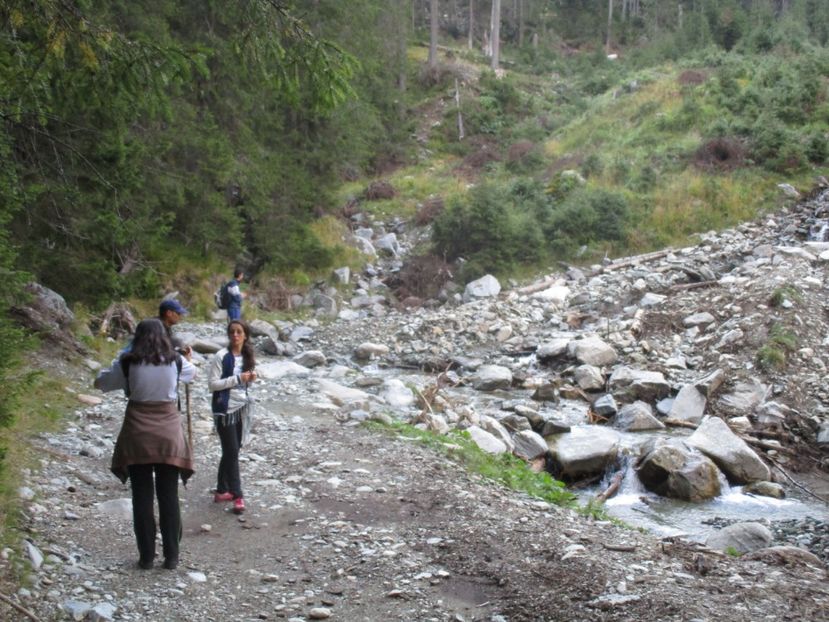  - 2017 - Obarsia Lotrului - a treia zi Galcescu apoi Oasa