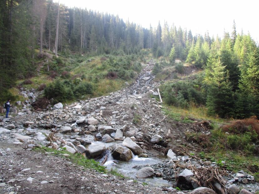  - 2017 - Obarsia Lotrului - a treia zi Galcescu apoi Oasa