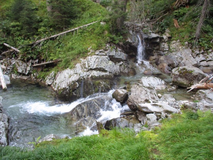  - 2017 - Obarsia Lotrului - a treia zi Galcescu apoi Oasa