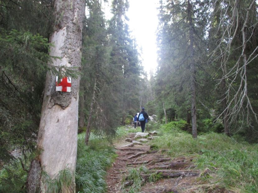  - 2017 - Obarsia Lotrului - a treia zi Galcescu apoi Oasa
