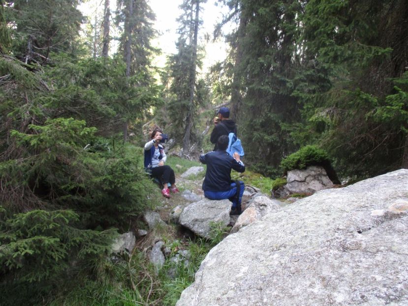  - 2017 - Obarsia Lotrului - a treia zi Galcescu apoi Oasa
