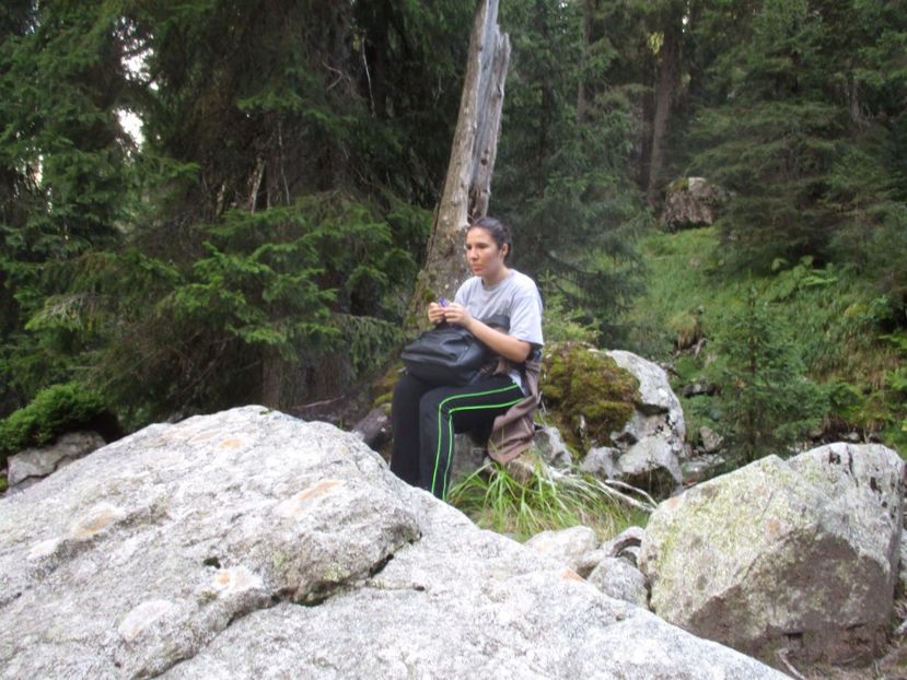  - 2017 - Obarsia Lotrului - a treia zi Galcescu apoi Oasa