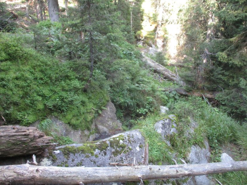  - 2017 - Obarsia Lotrului - a treia zi Galcescu apoi Oasa