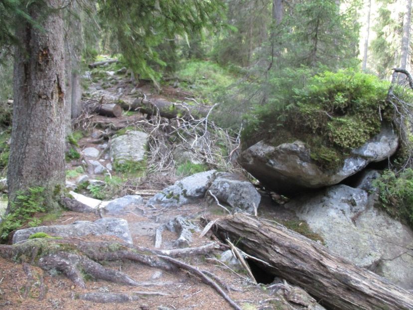  - 2017 - Obarsia Lotrului - a treia zi Galcescu apoi Oasa