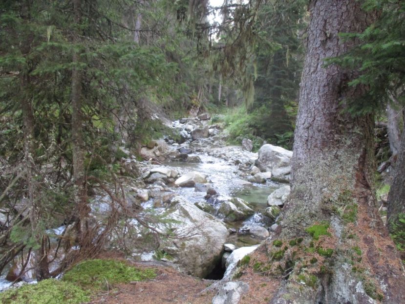  - 2017 - Obarsia Lotrului - a treia zi Galcescu apoi Oasa