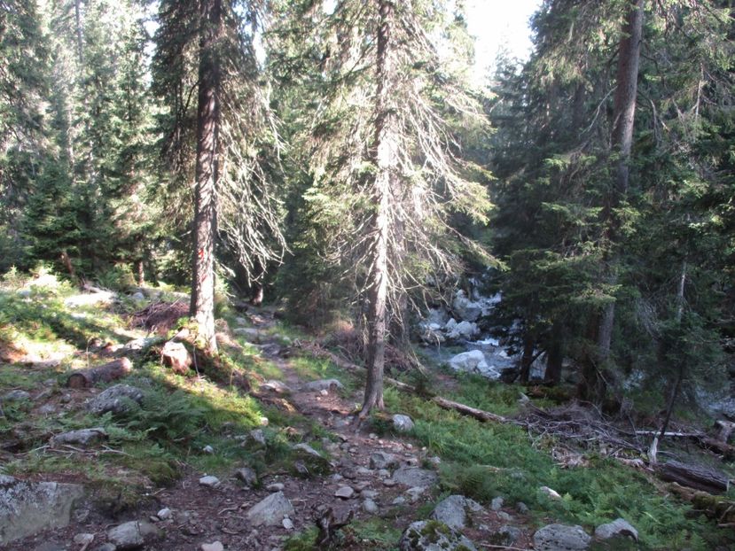  - 2017 - Obarsia Lotrului - a treia zi Galcescu apoi Oasa