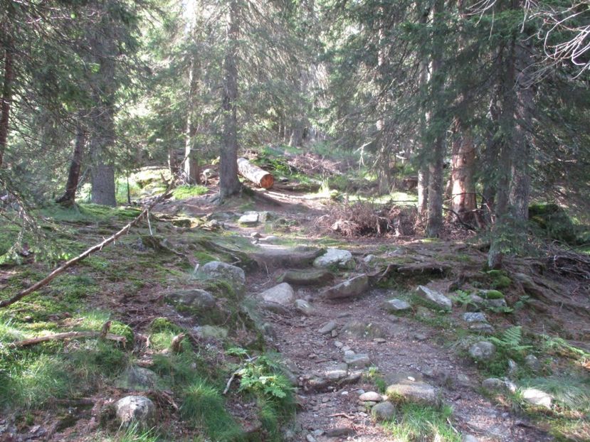  - 2017 - Obarsia Lotrului - a treia zi Galcescu apoi Oasa