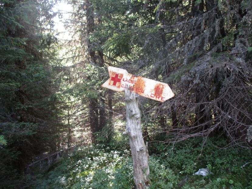  - 2017 - Obarsia Lotrului - a treia zi Galcescu apoi Oasa