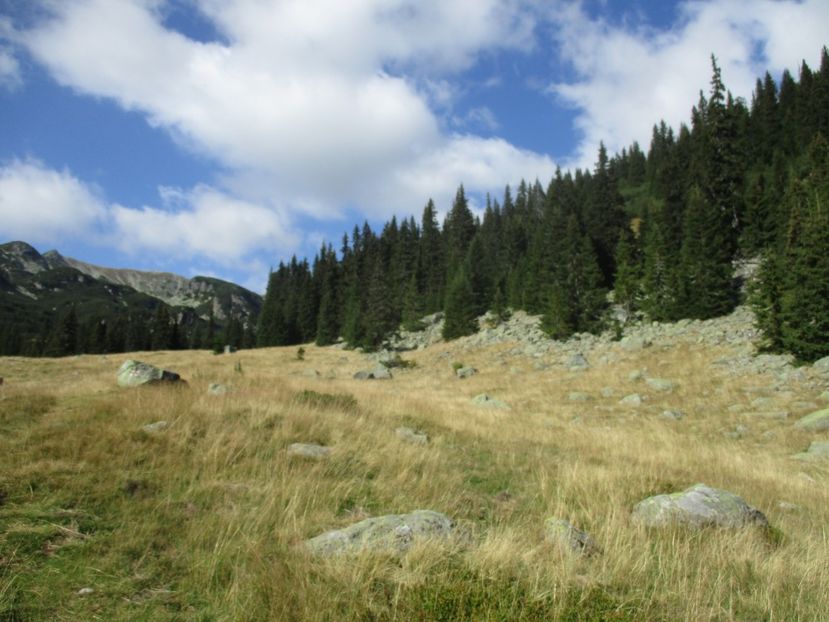  - 2017 - Obarsia Lotrului - a treia zi Galcescu apoi Oasa