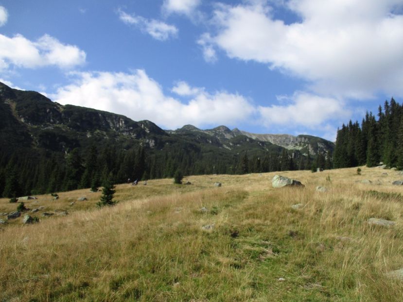  - 2017 - Obarsia Lotrului - a treia zi Galcescu apoi Oasa