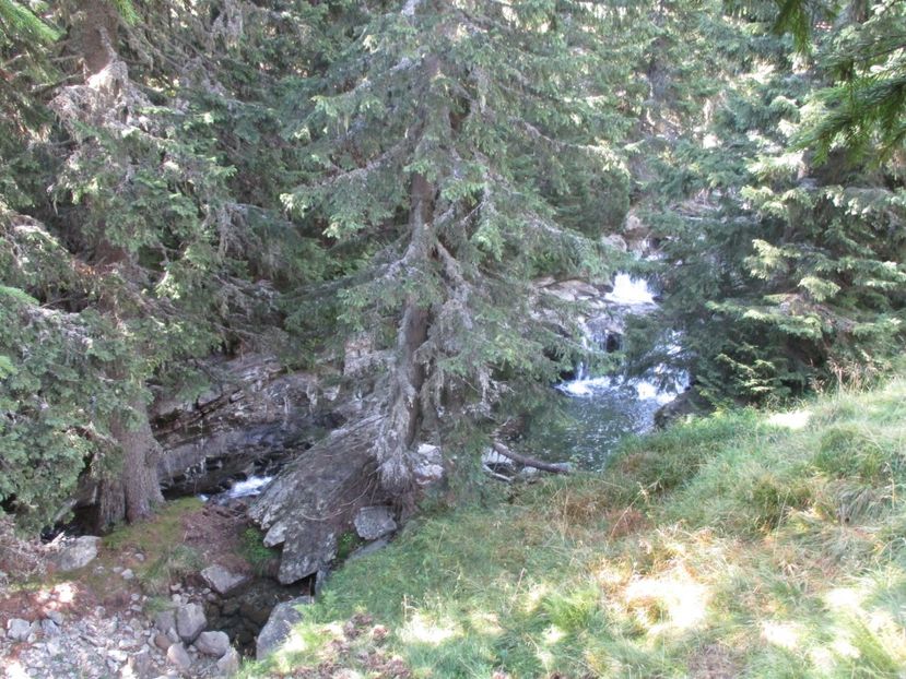  - 2017 - Obarsia Lotrului - a treia zi Galcescu apoi Oasa