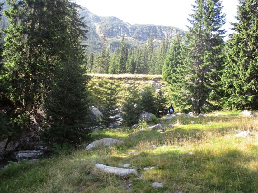  - 2017 - Obarsia Lotrului - a treia zi Galcescu apoi Oasa