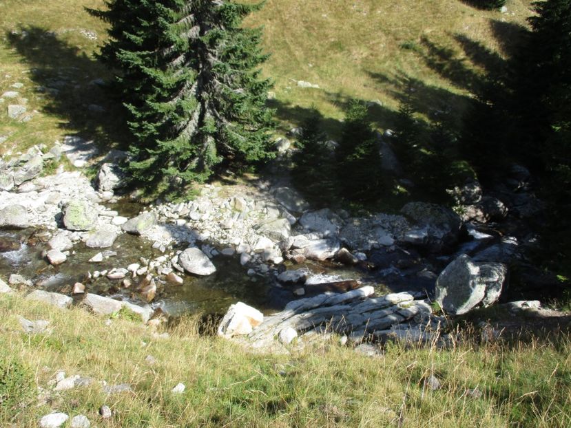  - 2017 - Obarsia Lotrului - a treia zi Galcescu apoi Oasa