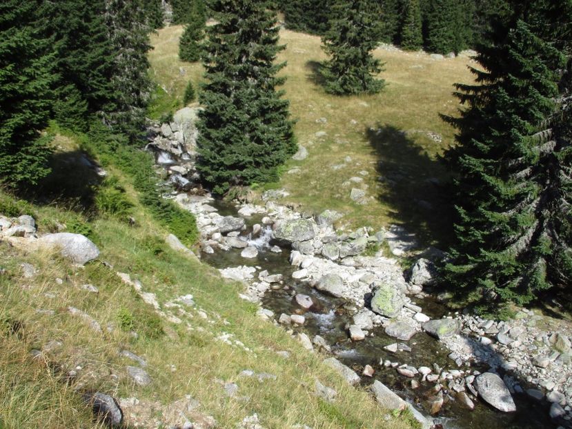  - 2017 - Obarsia Lotrului - a treia zi Galcescu apoi Oasa