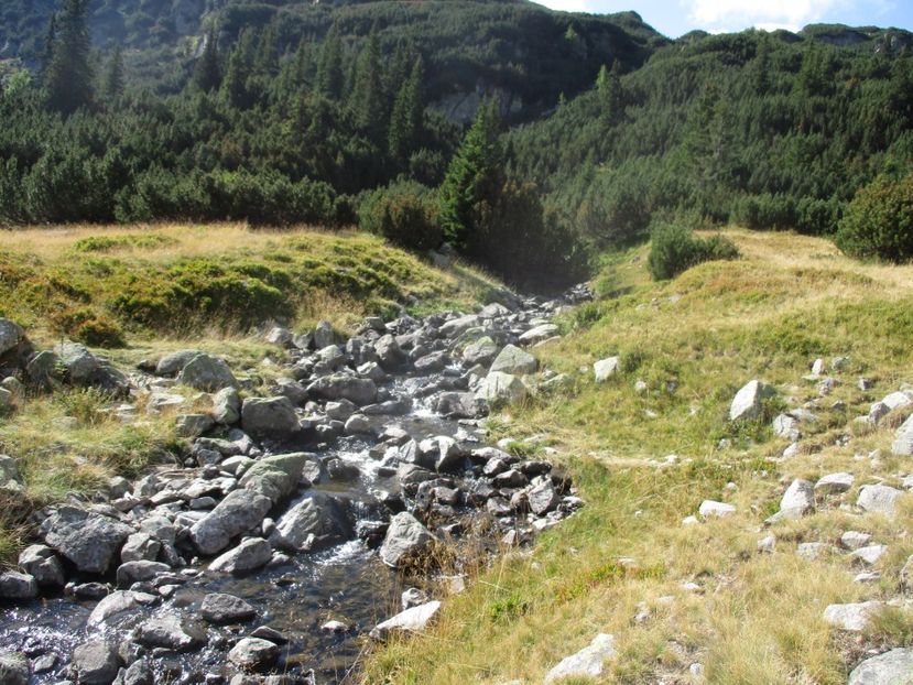  - 2017 - Obarsia Lotrului - a treia zi Galcescu apoi Oasa