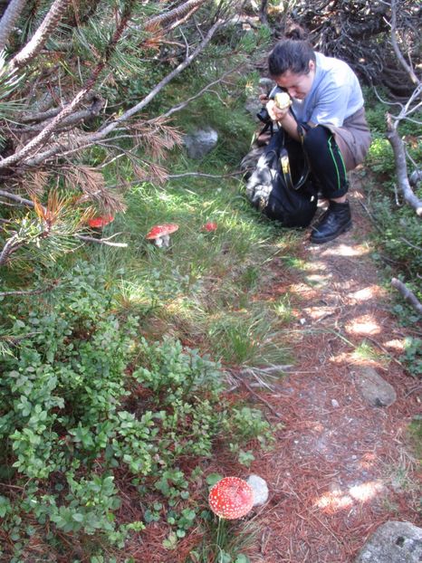  - 2017 - Obarsia Lotrului - a treia zi Galcescu apoi Oasa