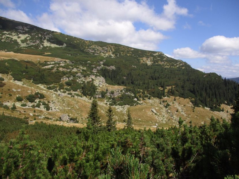  - 2017 - Obarsia Lotrului - a treia zi Galcescu apoi Oasa